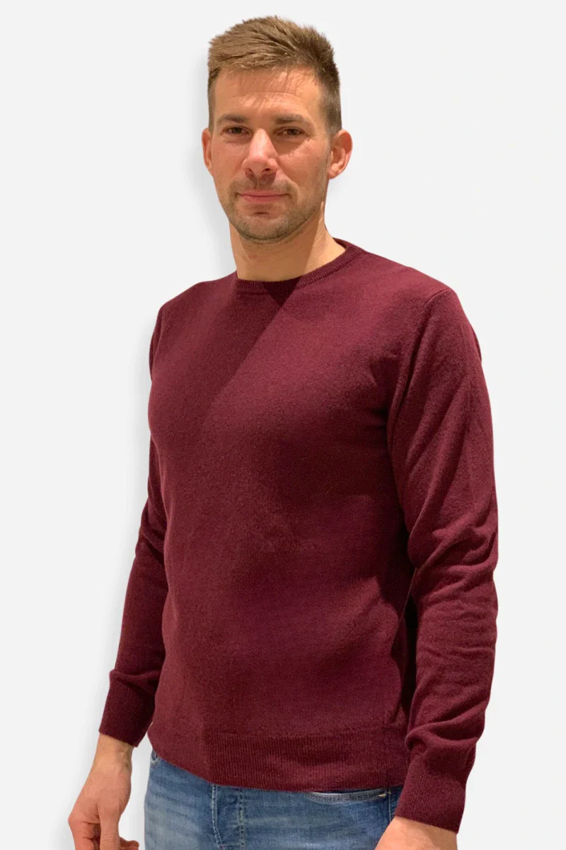 Maglione uomo girocollo in cachemire - Image 4
